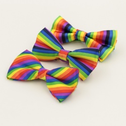 Men's Colorful Bow Tie